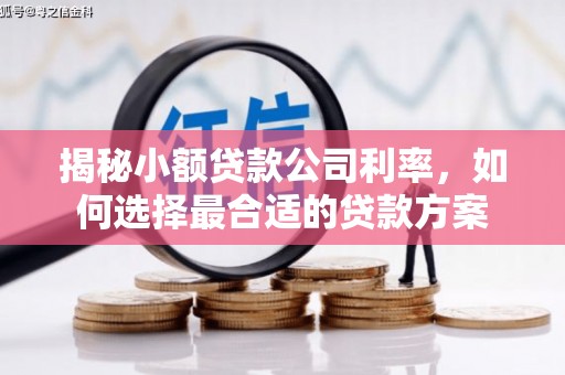 新兴揭秘小额贷款公司利率，如何选择最合适的贷款方案
