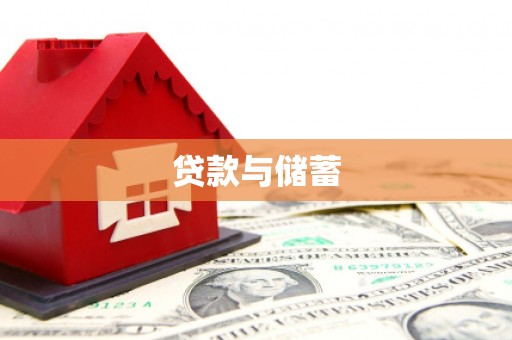 新兴贷款与储蓄