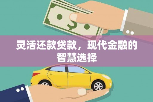 新兴灵活还款贷款，现代金融的智慧选择