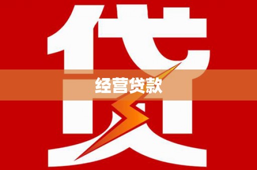 新兴经营贷款