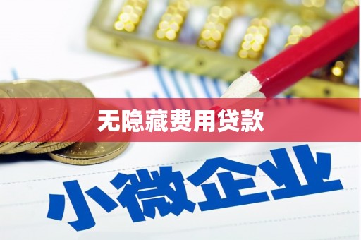 新兴无隐藏费用贷款