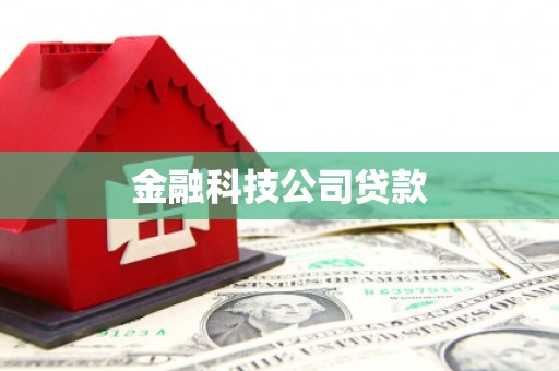 新兴金融科技公司贷款