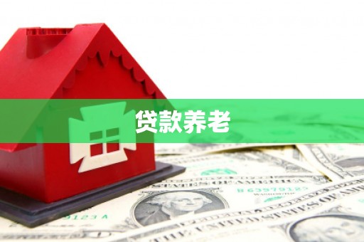 新兴贷款养老