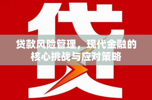 新兴贷款风险管理，现代金融的核心挑战与应对策略