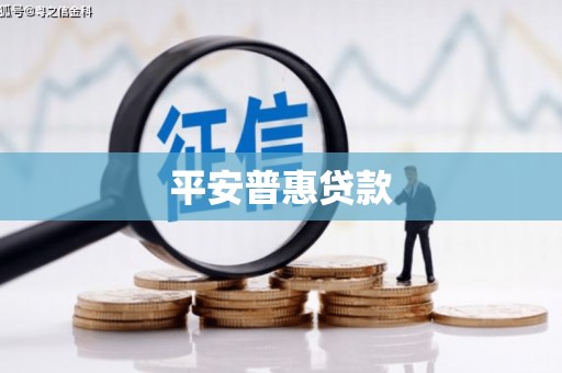新兴平安普惠贷款