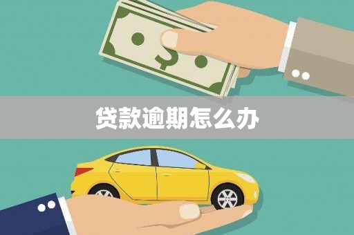 新兴贷款逾期怎么办