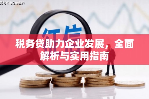 新兴税务贷助力企业发展，全面解析与实用指南