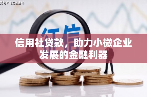 新兴信用社贷款，助力小微企业发展的金融利器