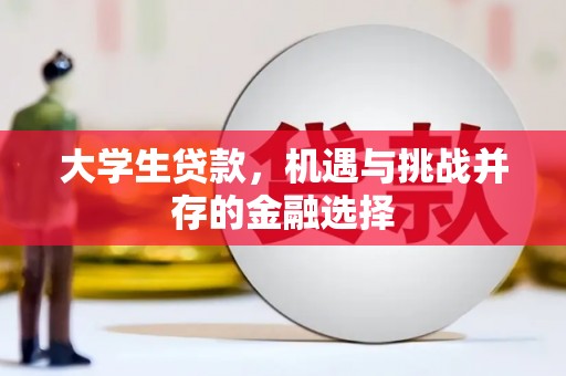 新兴大学生贷款，机遇与挑战并存的金融选择