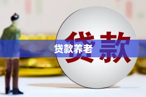 新兴贷款养老
