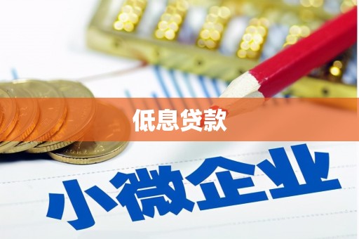 新兴低息贷款