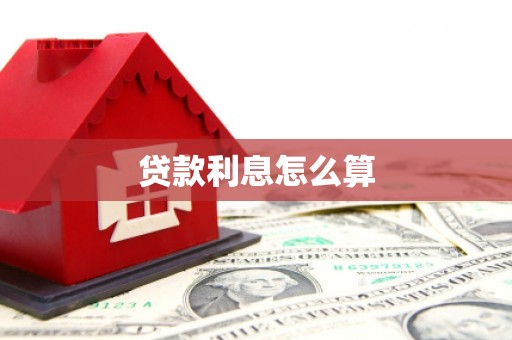 新兴贷款利息怎么算