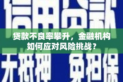 新兴贷款不良率攀升，金融机构如何应对风险挑战？