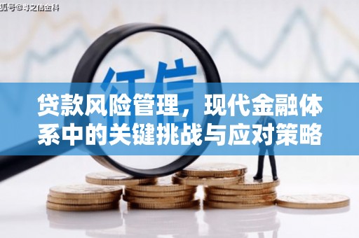 新兴贷款风险管理，现代金融体系中的关键挑战与应对策略