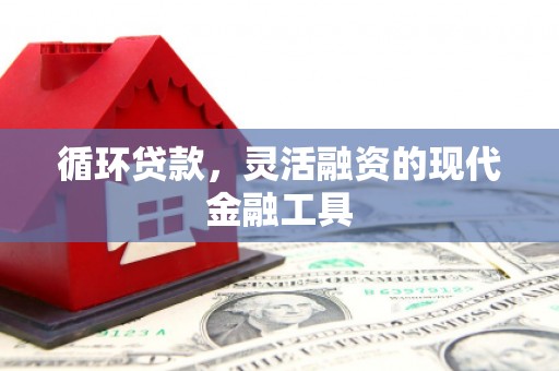 新兴循环贷款，灵活融资的现代金融工具