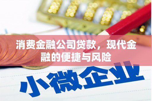新兴消费金融公司贷款，现代金融的便捷与风险