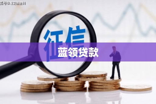新兴蓝领贷款