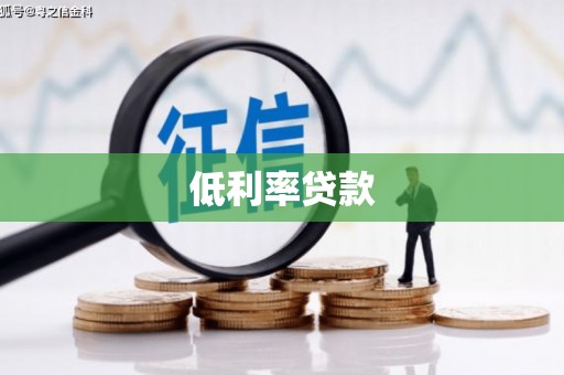 新兴低利率贷款