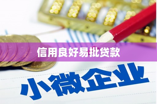 新兴信用良好易批贷款