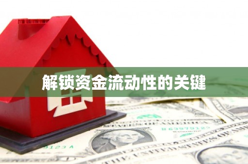 新兴解锁资金流动性的关键