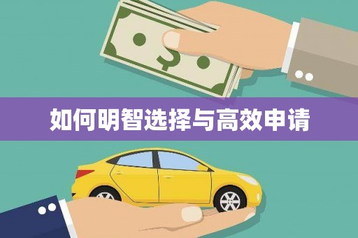 新兴如何明智选择与高效申请
