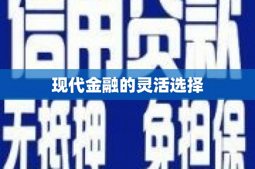 新兴现代金融的灵活选择