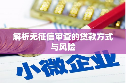 新兴解析无征信审查的贷款方式与风险