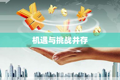 新兴机遇与挑战并存