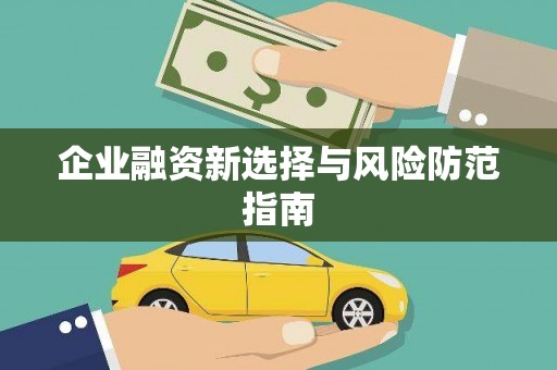 新兴企业融资新选择与风险防范指南