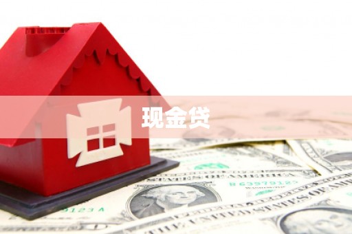 新兴现金贷
