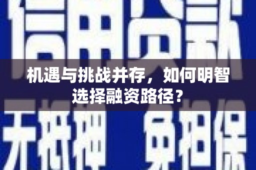 新兴机遇与挑战并存，如何明智选择融资路径？