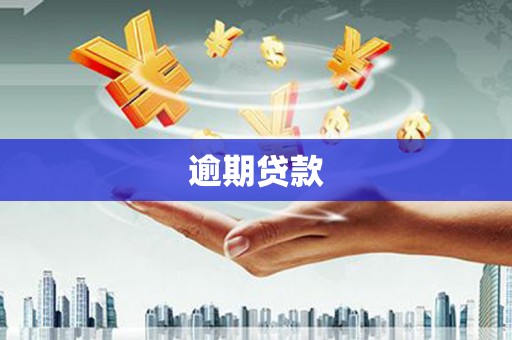 新兴逾期贷款