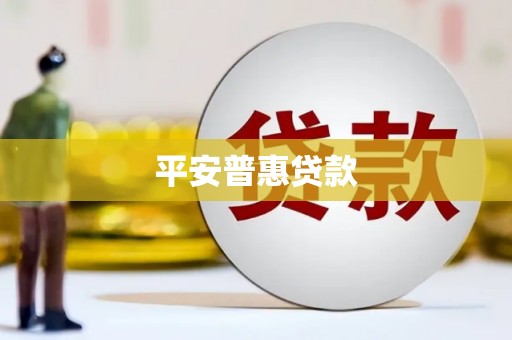 新兴平安普惠贷款