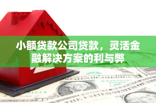 新兴小额贷款公司贷款，灵活金融解决方案的利与弊