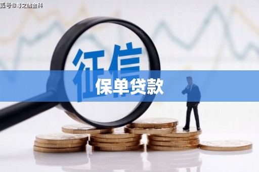 新兴保单贷款